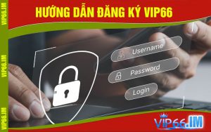 VIP66