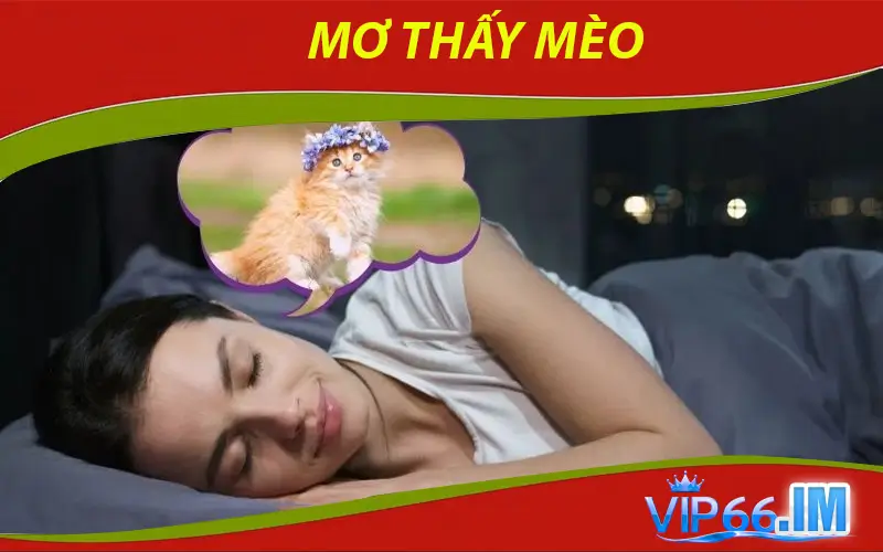 Mơ Thấy Mèo